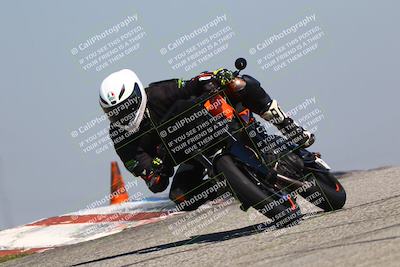 media/Mar-24-2025-2WTD (Mon) [[55b4b08488]]/C Group/1140am (Outside Grapevine)/